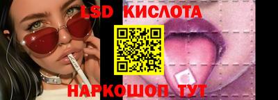 винт Славгород