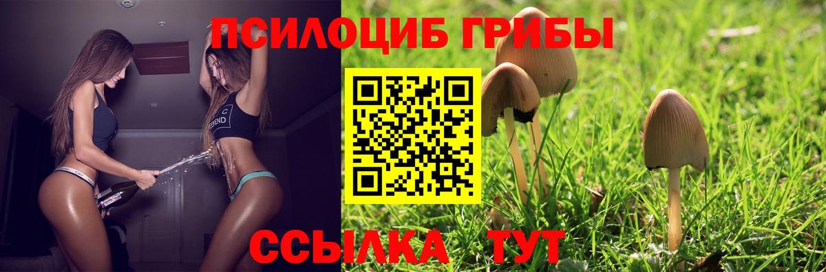 Орехово-Зуево  Псилоцибиновые грибы Cubensis  Вход с VPN 